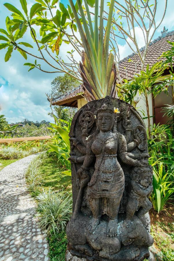 Sunset Hill Bed and Breakfast Ubud Eksteriør billede