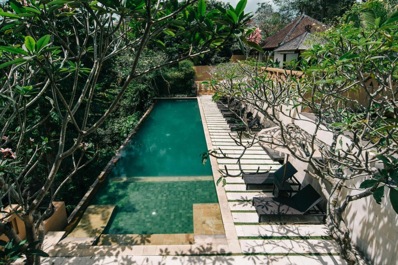 Sunset Hill Bed and Breakfast Ubud Eksteriør billede