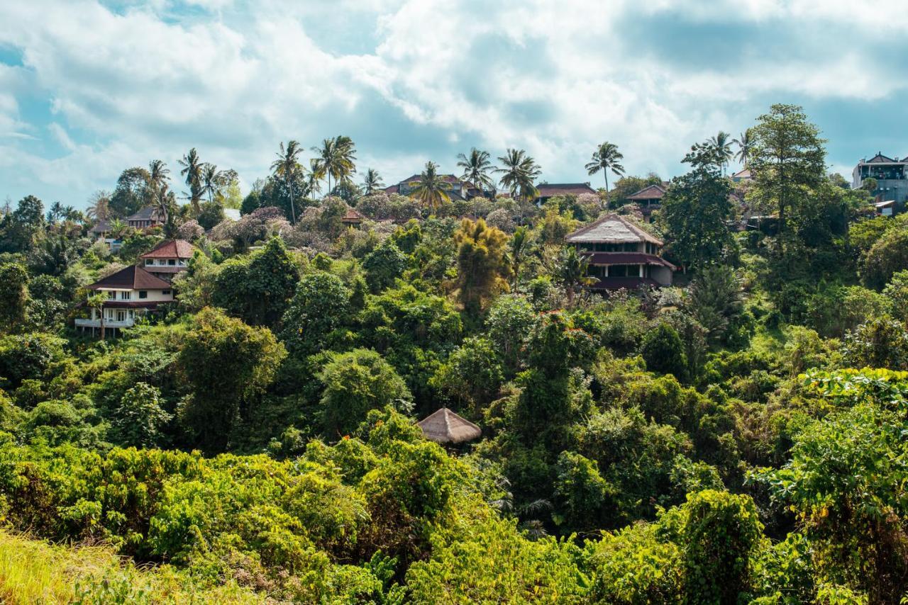Sunset Hill Bed and Breakfast Ubud Eksteriør billede