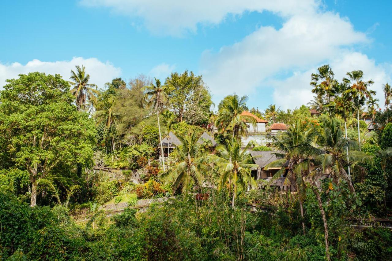 Sunset Hill Bed and Breakfast Ubud Eksteriør billede